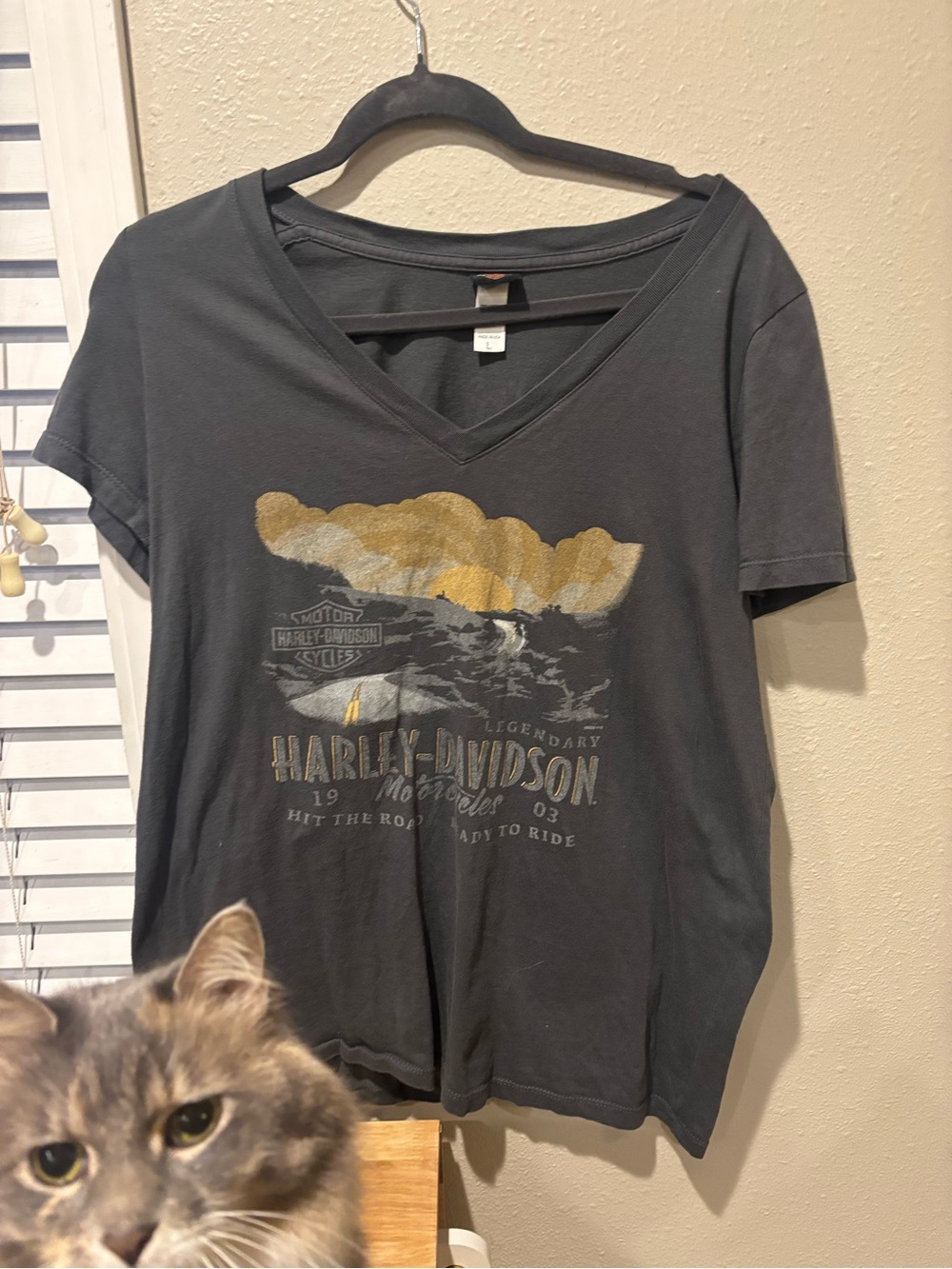 Harley-Davidson Black V-Neck Tee with Gold Graphic